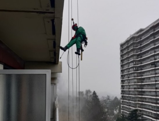 élagage élagage arbre Belgique
